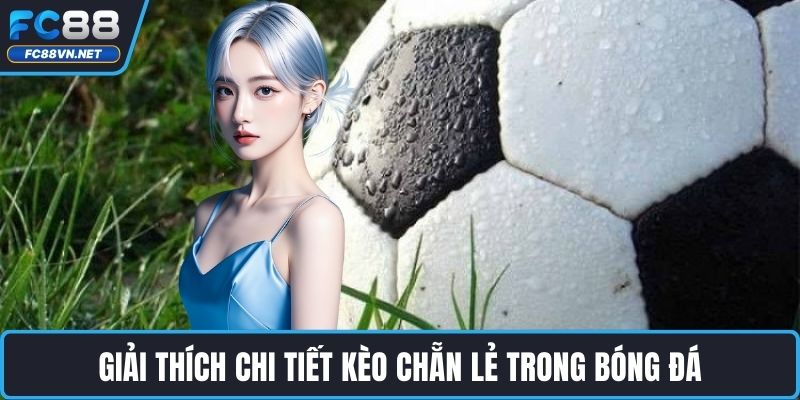 Giải thích chi tiết kèo chẵn lẻ trong bóng đá