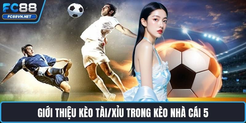 Giới thiệu kèo tài/xỉu trong kèo nhà cái 5
