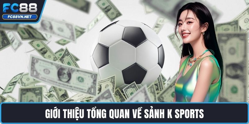 Giới thiệu tổng quan về sảnh K Sports